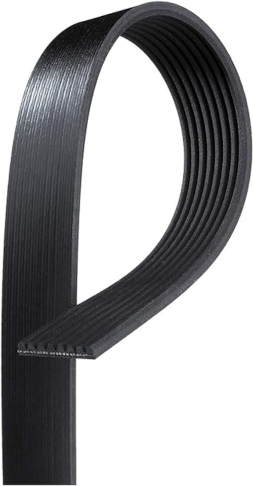 Cinturón