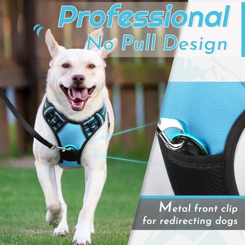Image of Eagloo Dog Harness for Small Dogs, No Pull Pet Vest with 2 Leash Clips