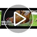 Outdoor Turkey Deep Fryer Set Seafood Boiler Kit Fish Fryer with Crawfish Boil Pot Basket 55000 BTU Untimed Gas Burner Heavy Duty Steel Frame 30 & 10 Quart Aluminum Stock Pot & Basket Lid