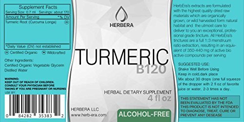 Turmeric B120 Alcohol-Free Herbal Extract Tincture, Turmeric (Curcuma Longa) Dried Root (4 fl oz)