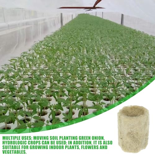 HOMURY Steinwolle Würfel Rockwool Cube: 100 Stück Steinwolle Anzucht Rund Steinwolle Anzuchtwürfel Steinwolle Cube Hydroponic für Bodenlose Anzucht, Aussaat, Klonpflanzen, Hydroponischen Anbau