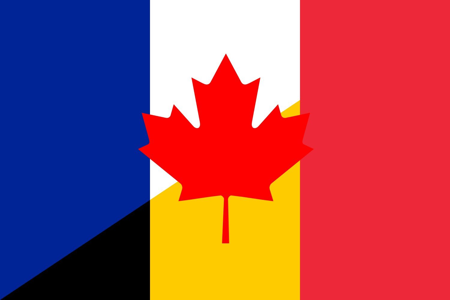 Drapeau de la langue française format paysage aux finitions haut de gamme pour mât extérieur