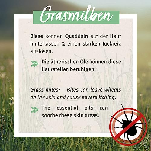 AniForte Grasmilben-EX Spray 500ml - Grasmilbenspray für Hunde, effektive & langzeitige Abwehr gegen Grasmilben & Parasiten, beruhigt gereizte Haut & lindert Juckreiz