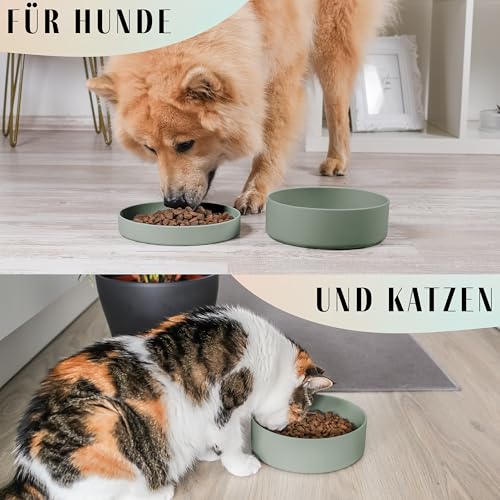 ne&no® Silikon Hundenapf 1200 ml mit Deckel für kleine und mittelgroße Hunde | im Kühlschrank luftdicht verschlossen | Futternapf Hund rutschfest | Fressnapf Hund Set