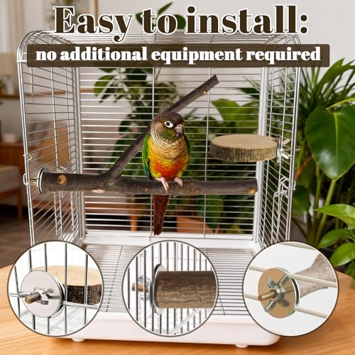 Image of 8 Pack 9 Inch Natural Wood Bird Perches for Cage, Wood Parrot Perch