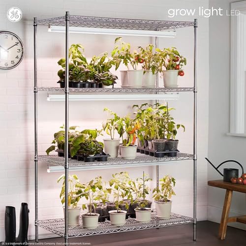 GE Grow Lights for Indoor Plants, BR30 Indoor Floodlight, 2 Pack - image 6