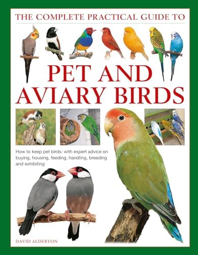 Cage Bird Breeding Bible: What Every Enthusiast Needs to Know Now 6 The Complete Practical Guide to Pet and Aviary Birds: How to Keep Pet Birds: with Expert Advice on Buying, Housing, Feeding, Handling, Breeding and Exhibiting