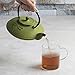 Primula Green Dragonfly Japanese Tetsubin Cast Iron Teapot Stainless Steel Infuser for Loose Leaf Tea, Durable Construction, Enameled Interior, 26 oz