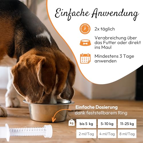 PHA DarmPaste DurchfallStopp für Hunde und Katzen - Linderung akuter Resorptionsstörungen des Darms, bei und nach akutem Durchfall, Paste 15 ml