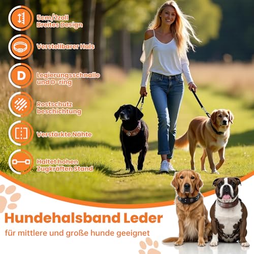 Lederhalsband Hund, 5cm Hundehalsband Leder Breit, Einstellbar Hunde Halsbänder Mit Metallschnalle, Halsband Hund Breit Für Große Und Mittelgroße Hunderassen XL