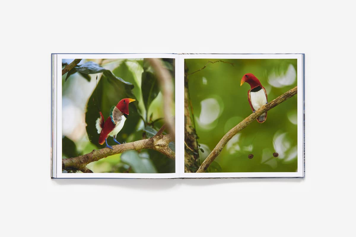 Bird Planet: A Photographic Journey
