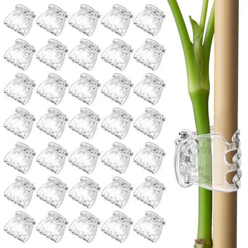 50pcs Orchid Clips for Plants Support Transparent Plant Orchid Clips 6 Claws for Indoor and Outdoor Plants Plastic Butterfly Plant Support Structures for Garden Vine Stem