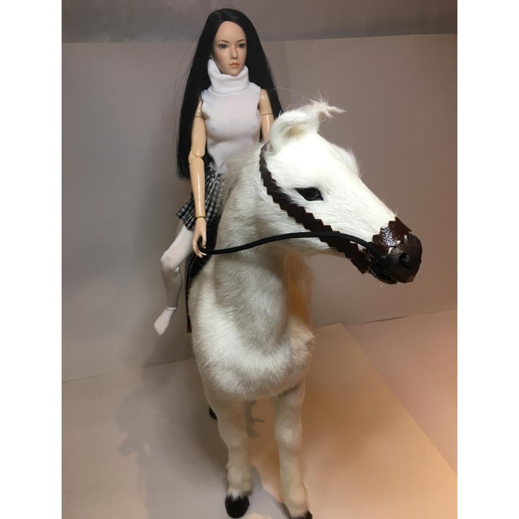 Affascinante action figure da soldato in Per scala 1/6, modello di cavallo da 12 pollici per esposizioni, oggetti da collezione o accessori per