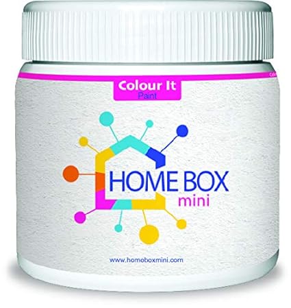 HOME BOX mini Colour It White Acrylic Paint Used for Decoration Like Metal, Wood, Concrete & Paper (100 g)