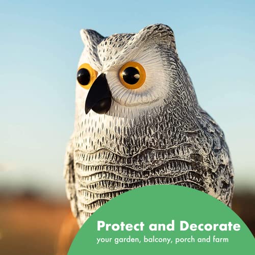 Horned Fake Owl And Bird - 10.5" Plastic Owls To Scare Birds Away - Effective Bird Devices - Scarecrow For Garden - Bird Devices Outdoor, Keep Birds Away #TOP3