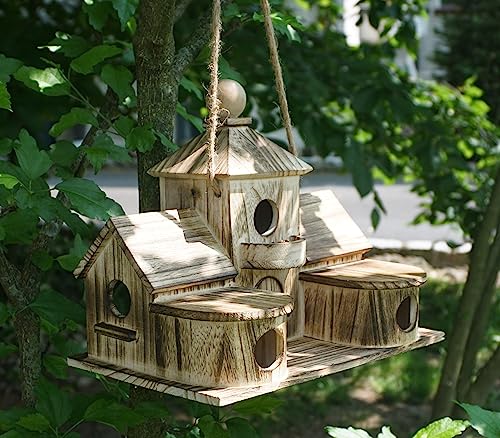 Artfully Yours 2in1 Bird House & Feeder, Large for Outside, 6 Hole for Outdoors, Wooden Hanging, Blue, Decorative & Functional Gift