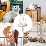 Eventerde B0D2JCMYFV lato 4