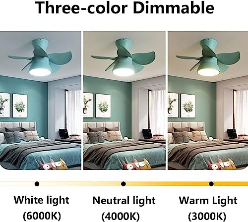 Ventilador de techo moderno para salón y dormitorio 5