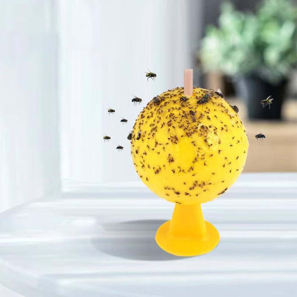 27 Stück Fruchtfliegenfalle Sticky Fruit Fly Trap Ball Multifunktionale Klebefallen Zitrusförmiges Design for Fruchtfliegen Trauermücken und Gnitzen (B)