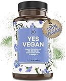 STUDIENBASIERTE REZEPTUR - Unser Vegan Complex weist einen einzigartigen Mikronährstoffkomplex auf. Damit deckst du alle essenziellen Mikronährstoffe ab, welche bei Vegetariern und Veganer oft ausbleiben!