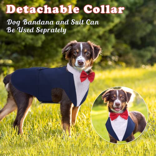 Disfraz Formal Para Perro Traje Smoking Talla Large Azul miniatura 3