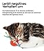 Catstages Kitty Chew Wheel - Katzenspielzeug mit Katzenminze - Gummiring für die Zahnpflege
