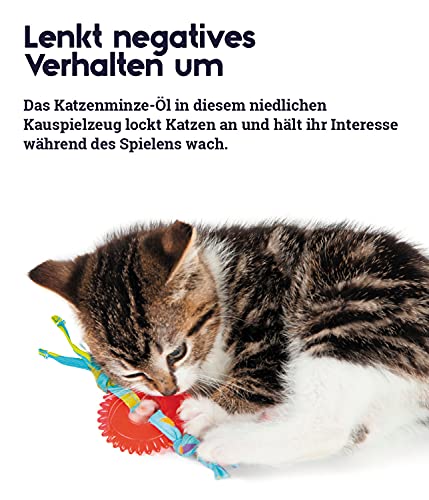 Catstages Kitty Chew Wheel - Katzenspielzeug mit Katzenminze - Gummiring für die Zahnpflege