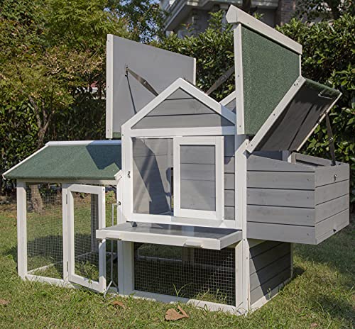Pets Imperial® Kingsbourne Hühnerstall mit Auslauf - Grau - Hühnerhaus mit aufklappbarem Dach - 183 cm (B) x 98 cm (T) x…