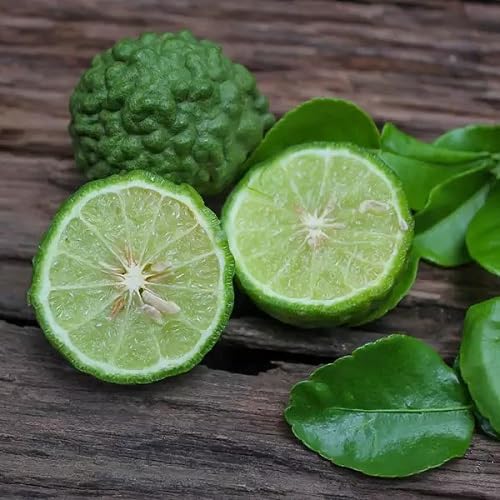 30 piezas de semillas de fruta Kaffir Lime verde