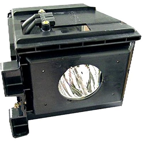 GOLDENRIVER BP96-01073A / BP96-01394A / BP96-01099A Replacement Lamp with Housing for Samsung TVs - 150 Day Electrified Warranty
