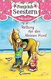  Ponyclub Seestern (Band 1) – Rettung für den kleinen Hund