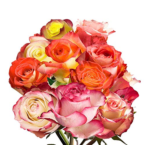 Globalrose 50 Fresh Cut Happy Anniversary Multicolor Roses - Fresh Roses Express Delivery - Perfect For Weddings Or Anniversaries #TOP2