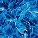 Hydrographic Film - Water Transfer Printing - Hydro Dipping -Extreme Flames Hydro 3 pack