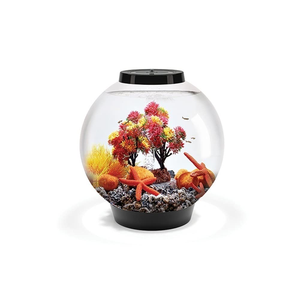 Personalidad del Acuario Tanque De Peces Redondo Creativo Acuario Pequeño Interior del Hogar Sala De Estar Oficina Moda Paisajismo Acuario De Escritorio 15L Decoraciones para Peceras