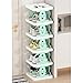 RWGOVLU Foldable Shoe Rack, 2-6 Tier Shoe Storage Box, Plastic Shoe Organizer for All Kinds of Shoes, Toys and Clothing,Quick Assembly No Tools Required
