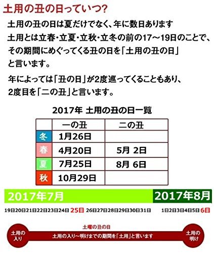 尾張まるはち うなぎ蒲焼 冷凍 国産一色産 特大 真空パック 2尾320g の商品画像 5