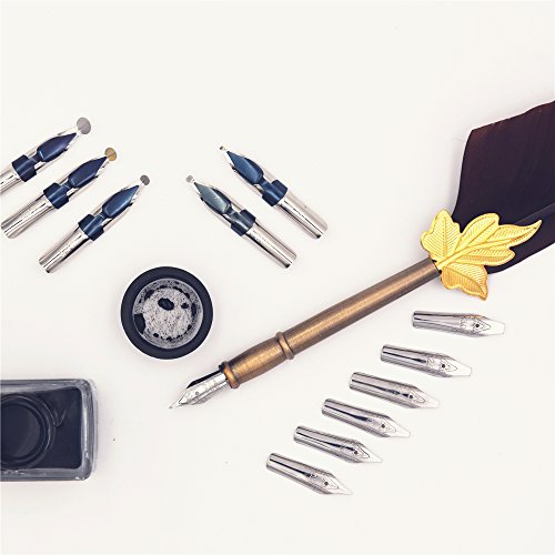 Aivn Feather Quill Pen, Calligraphy Set With 12 Nibs #TOP6