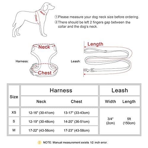 Beirui Cute Floral Pattern Girl Dog Harness And Leash Set, Adjustable Soft Mesh Dog Vest Harness With 5Ft Leash For Puppy Small Medium Dogs,Blue,Xs：chest 13-17" #TOP1