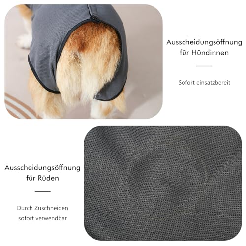 InfiniZer Hundebody Nach Op Hündin Kastration Hündin Rüde Operationsbody Hund Body Nach Op Body Hund Shirt Leckschutz Wundschutzanzug für Hunde Einteiler Schlafanzug (Grau, XL)