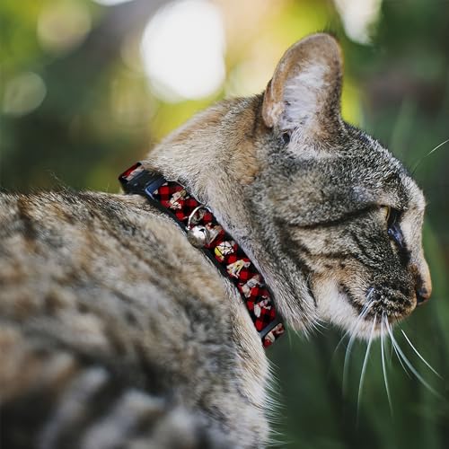 Collar de gato breakaway Buckle-Down con diseño pin-up rojo 3