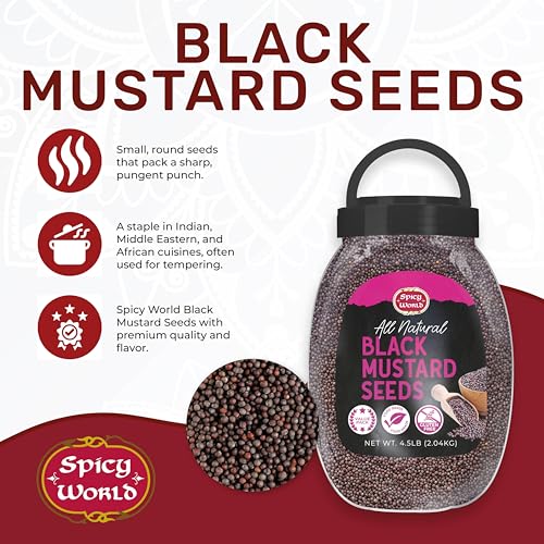Black Mustard Seeds Whole 4.5 LB Bulk Jar - All Natural, Gluten Free, 100% Pure, Robust Flavor - by Spicy World - Image 3