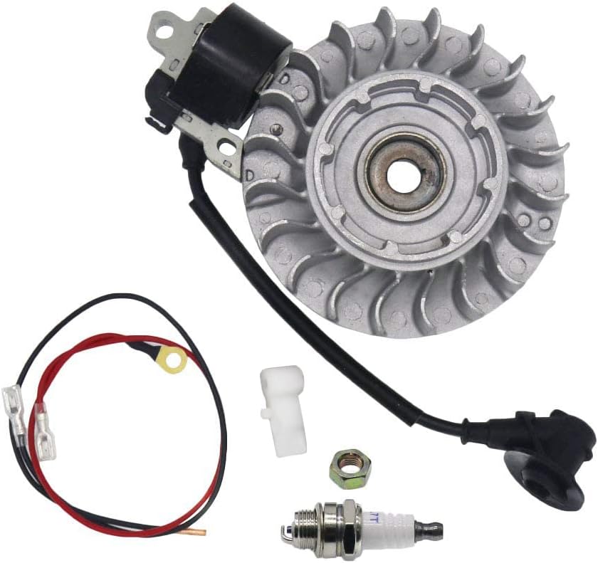 Flywheel with NGK Plug Coil Kit for Stihl MS660 066 Chainsaw 1122 400 1217