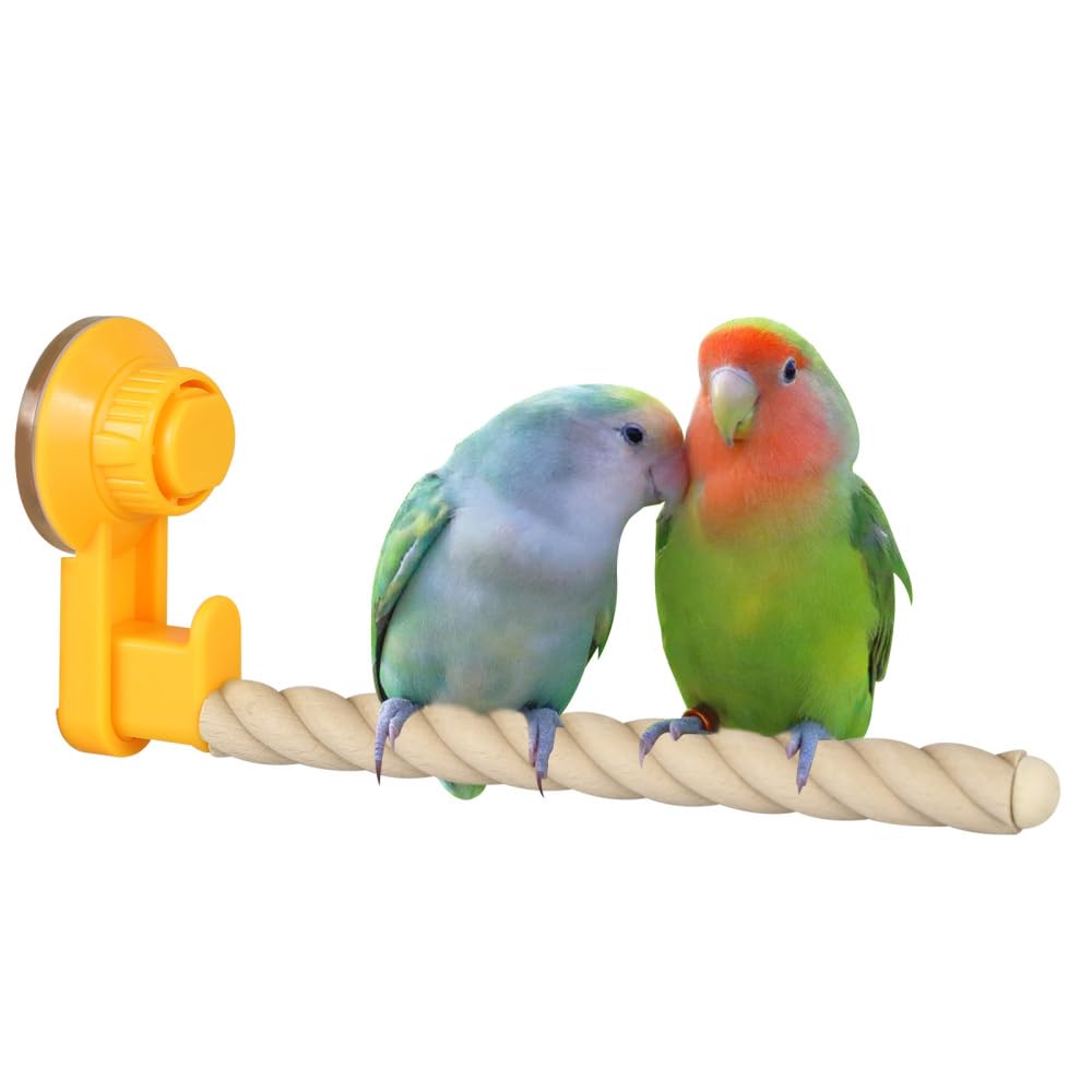 Suction Cup Bird Perch,Birds Window/Bath/Car/Travel Perch Stand for Parrot Parakeet Cockatiel Conure Budgie Lovebirds