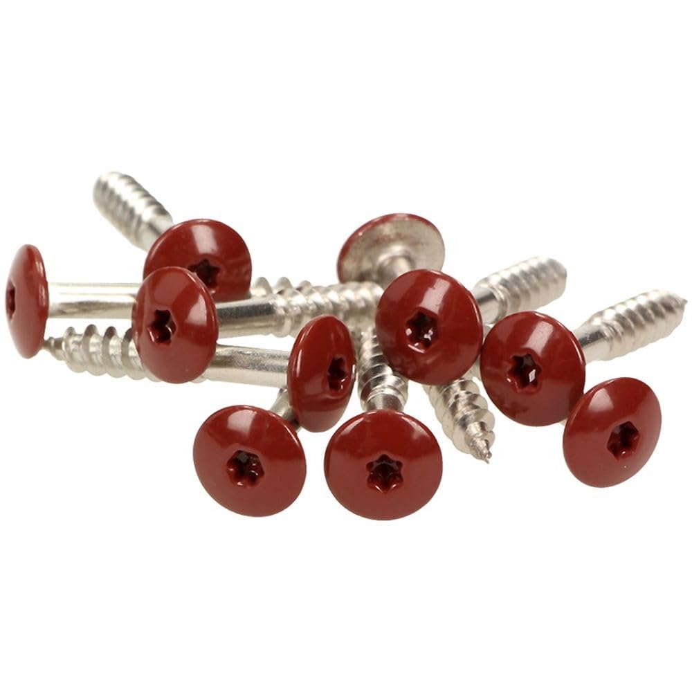 Lot de 100 vis de façade, en acier inoxydable V4A, 5,5 x 25 mm, tête plate Torx T20, rouge oxyde + 1 embout