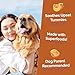 Fruitables Pumpkin Digestive Supplement, Made with Pumpkins for Dogs, Healthy Fiber Supplement for Pet Nutrition, Packed with Superfoods, 15 oz