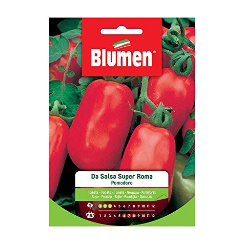 Blumen Sementi, Pomodoro Da Salsa Super Roma