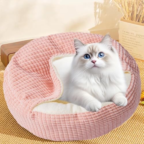 Lit pour petit chat d'intérieur et lit chaud pour chien ou lapin