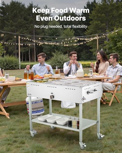 Image of VEVOR 9-Pan Commercial Propane Steam Table, LP Gas Outdoor Soup Warmer with Drain Valve and 3 inch Wheels, Stainless Steel Propane Food Warmer with Adjustable Temperature, for Restaurant Outdoor Camping