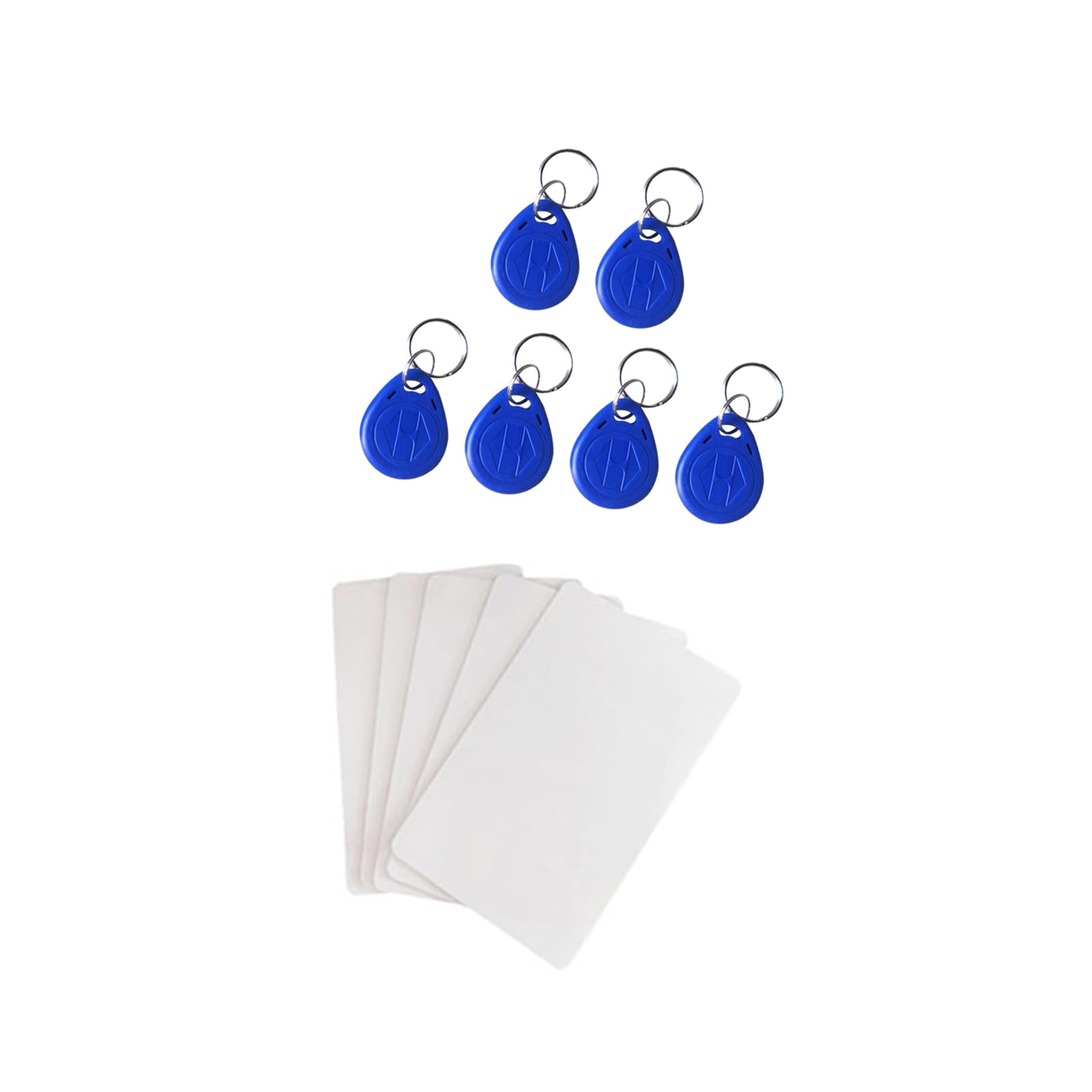 Copieur portable 125 kHz RFID Smart ID Card Duplicateur utilisé pour T5577 ou EM4305 + 6 porte-clés T5577 NO.2 + 5 cartes RFID T5577