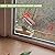 chunhai Clear Window Bird Feeder with Strong Suction Cups, Sturdy and Durable Acrylic Birdfeeders for Viewing Wild Birds Outside, Outdoor Small Bird House, Garden Decor